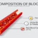 Understanding HDporax: The Future of High-Definition Technology